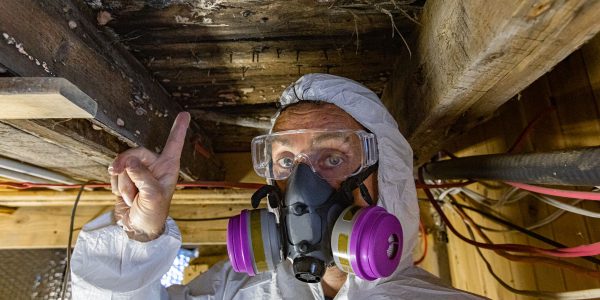 An indoor home inspector points towards condemned wood inside a domestic building, white fungi are seen growing on joists and floor planks, rotting wood indoor